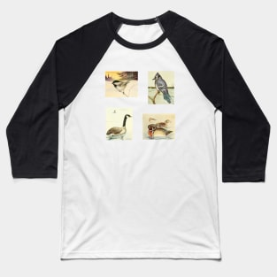 Birds of Canada Pack 2 - Chickadee, Blue Jay, Canada Goose, Wood Duck Baseball T-Shirt